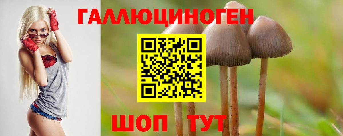 Клин  Галлюциногенные грибы Psilocybine cubensis  Вход с VPN  Псилоцибиновые грибы Cubensis 